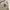 Unknown Brand Cream Longpants - Embroidery Logo photo 3