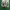 Nike Streetwear Sportswear Sneakers Wanita white photo 3