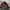 Adidas Casual Casual shoe Pria red photo 4