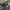 Adidas Casual Casual shoe Pria black photo 1