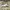 Adidas Casual Casual shoe Pria green photo 4