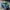 Adidas Casual Casual shoe Pria green photo 1