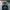 Adidas Casual Casual shoe Pria green photo 3