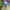 Adidas Casual Casual shoe Pria green photo 1