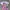 Kaos anime The iDOLM@STER Cinderella Girls // Sakuma Mayu photo 1