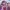 Kaos anime The iDOLM@STER Cinderella Girls // Sakuma Mayu photo 2