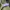 8seconds Streetwear Y2K Hoody Pria green khaki photo 7