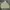8seconds Streetwear Y2K Hoody Pria green khaki photo 3
