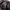 Alexander Wang Streetwear Jumper Pria black photo 4