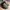 Adidas Adicane Clog photo 4