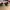 Adidas Adicane Clog photo 5
