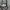 Billabong Vintage Y2K Hoody Pria gray photo 6
