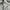 LYNXSPORT Casual Vest Pria white photo 5