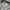 LYNXSPORT Casual Vest Pria white photo 7