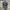 Patagonia Line Logo Trucker hat photo 1