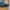 Patagonia Line Logo Trucker hat photo 2