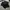 Carhartt pocket black tshirt photo 1