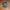 Vintage Streetwear Hat Pria black photo 1