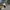 Stussy Fossil x Nike Air Zoom Spridon Cage 2 photo 2