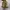 Stussy Fossil x Nike Air Zoom Spridon Cage 2 photo 6