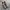 Stussy Fossil x Nike Air Zoom Spridon Cage 2 photo 5