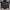 Vintage Streetwear Hat Pria green white photo 4
