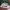 Vintage Streetwear Hat Pria green white photo 6