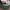 Vintage Streetwear Hat Pria green white photo 3
