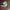 Vintage Streetwear Hat Pria green white photo 5