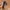 osfa jalin belt  photo 2