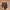 osfa jalin belt  photo 3
