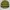 Oakley Streetwear Casual Casual shirt Pria yellow khaki photo 4