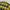 Oakley Streetwear Casual Casual shirt Pria yellow khaki photo 2