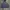 Musinsa Standard Vintage Y2K Hoody Pria gray photo 2