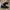 Adidas Gazelle 2 Fullblack photo 3
