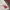 ziphoodie photo 6