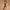 Leather Belt Texture