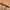 Leather Belt texture photo 3