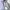 2000’s heavy wight grey blank doble ziper Hodie boxy  photo 3