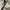 le coq sportif Reversible Oversize Vest photo 6