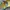 Patagonia Yellow Floral Mountain Logo Trucker photo 3