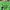 Adidas Vintage Streetwear T-shirt Pria Green