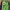 Adidas Vintage Streetwear T-shirt Pria Green
