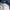 Hoka Speedgoat 6 / SG6 Vibram Trail Running Hiking photo 5
