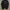 KASIBADY CAFERACER BLACK LEATHER JACKET |  photo 1