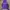 Adidas Streetwear Hoody Pria Purple