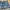 Vintage Y2K Short Wanita navy blue photo 4