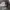 Emba jorts big pocket photo 8