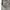 Emba jorts big pocket photo 7