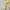 ZARA YELLOW HOUNDSTOOTH HS CARDIGAN  JACKET WITH PAPERBAG photo 4